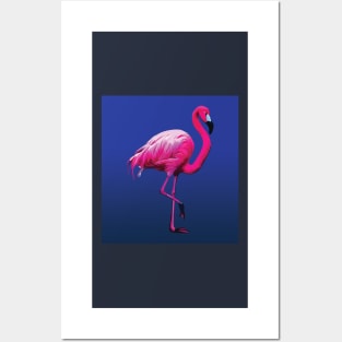 Striking Pink Flamingo on blue Posters and Art